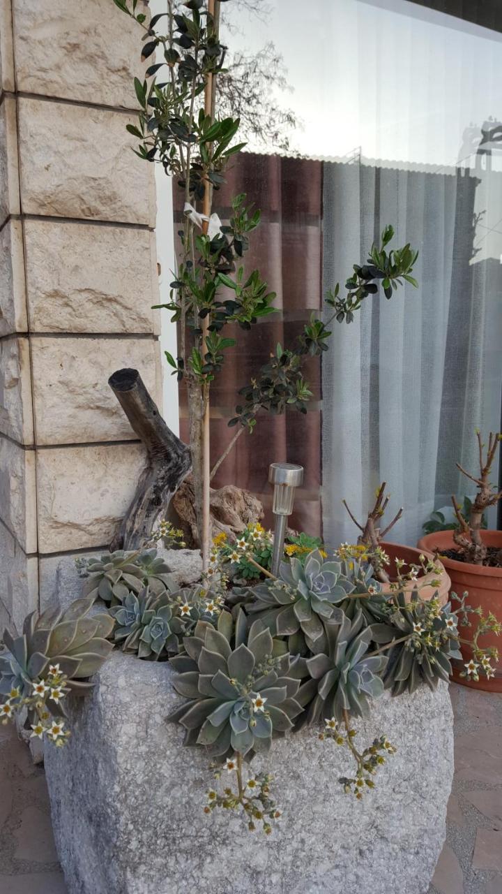 Apartmani Antunovic Podgora Extérieur photo