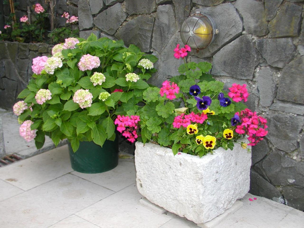 Apartmani Antunovic Podgora Extérieur photo